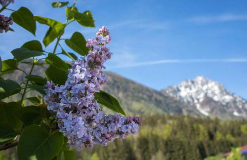 Ferienwohnung Nagerlhof - Foto 17