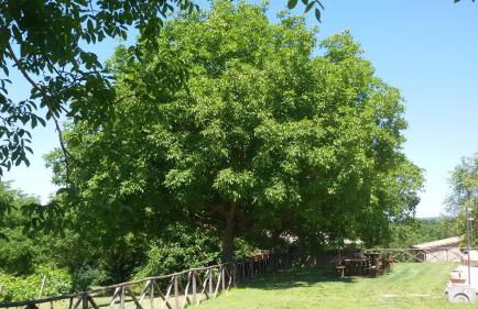 Casa Trastullo - Foto 11