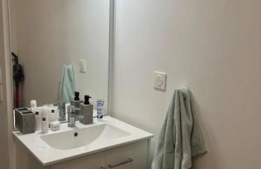 Appartement luxueux Au coeur de lille - Foto 11