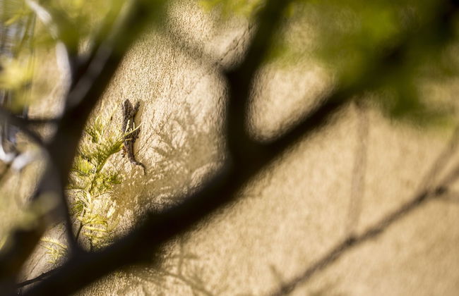Serene Apartment in Ascoli Piceno with Hot Tub - Foto 24