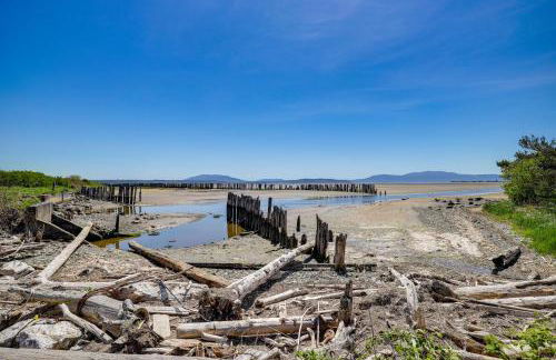 Modern Studio Suite in Sandy Point on Lummi Bay! - Photo 25
