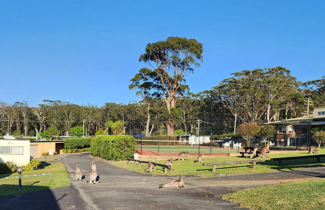 Joalah Holiday Park - Foto 49