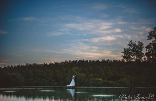 Casale San Galgano - Foto 12
