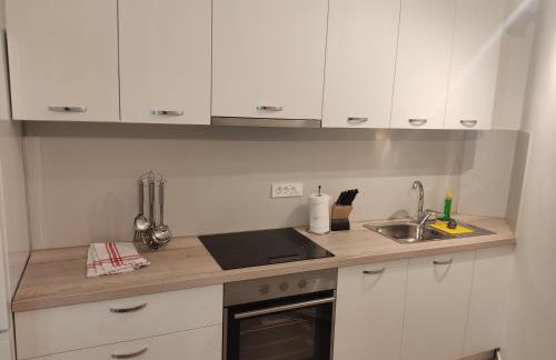 Apartmani Kula - Foto 63