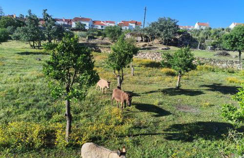 Tapada das Carvalhas - Foto 12