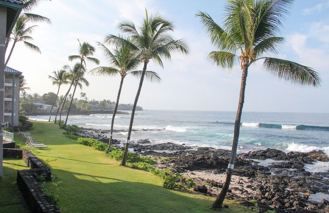 Kona Reef Resort - Foto 45