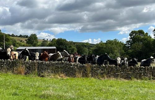 Riding house Farm Cottages - Photo 30