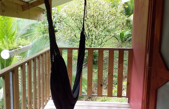 Drake Lapas - Foto 17