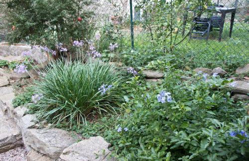 Terrace on the Lake - Foto 23