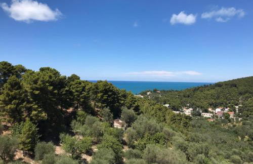 VILLA PINETA VISTA MARE - Foto 80