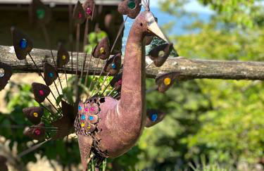 Agriturismo Attulaio - Foto 41