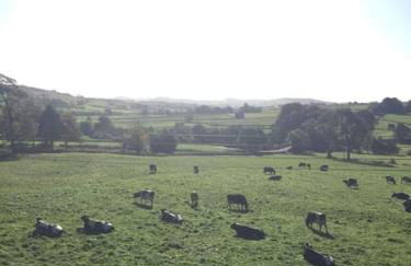 Mabels Cottage, Longnor - Foto 8