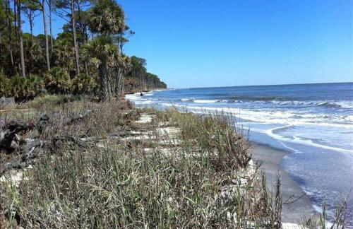 New Listing - Historical Home in Mossy Oaks - Foto 40