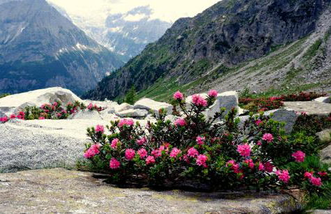 Laerchhof - Photo 18