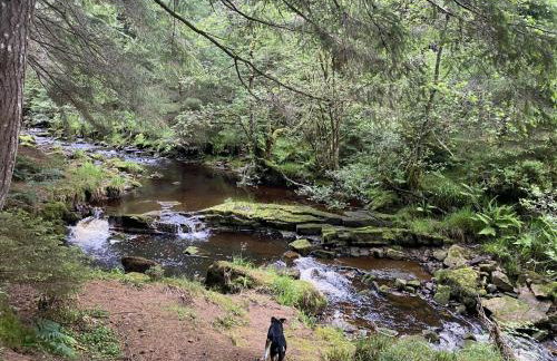 Roman Cottage - - Hadrian's Wall dark sky outpost. - Foto 22