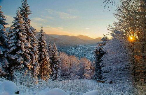 Black Forest Retreat Bad Herrenalb - Foto 33