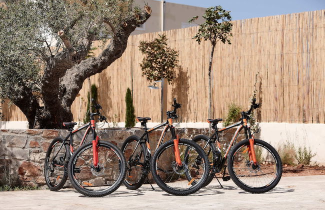 Volta Suites and Villas - Photo 67