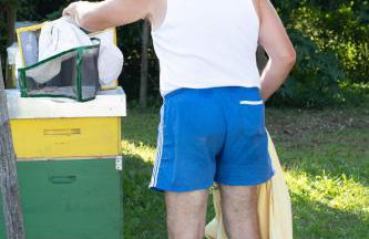 Agriturismo da Natalino - Foto 76