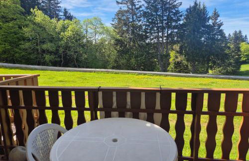 Charmant studio skis aux pieds Le Revard - Foto 17