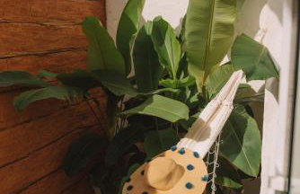 Nomads Flats - Foto 21