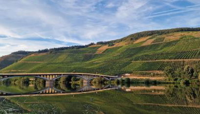 Ferienwohnungen am Moselbeach - Foto 5