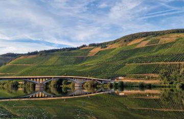 Ferienwohnungen am Moselbeach - Foto 5