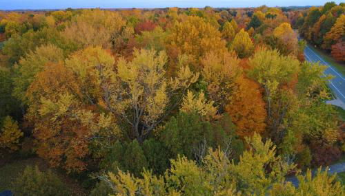 Spacious Pickleball Pines - Foto 5