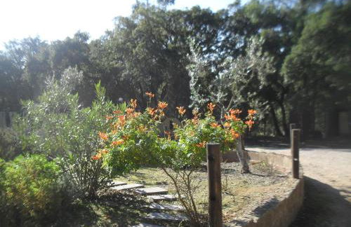 Quinta do Outeiro Alto - Foto 47