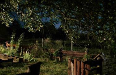 Jabłoniowy Sad Kalwaria Pacławska - Foto 51