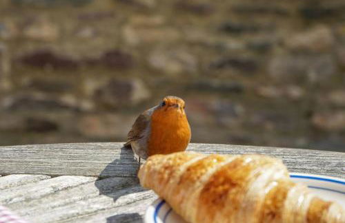 Riverside Apartment with Stunning Views & Patio - Foto 9