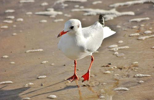 TROLLHUS - Großes familienfreundliches Ferienhaus - Foto 10