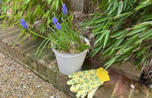 Whitstable The Jolly - Foto 40