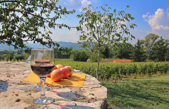Relax & Unwind in Umbria - Foto 25