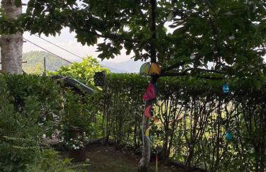 Άγρια Λούλουδα Κατοικία Ευτυχία - Photo 74