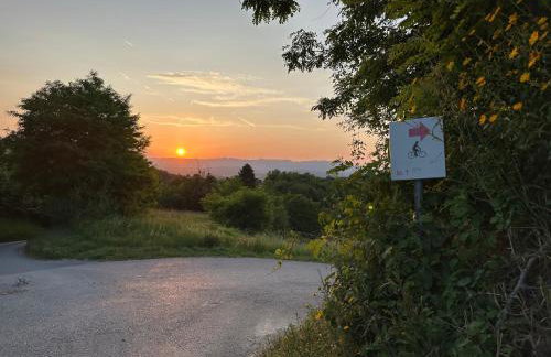 Apartman Perla - Foto 47