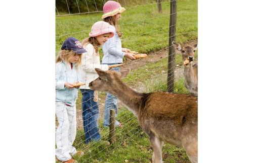 Mühlenhof - Riesling - Foto 22