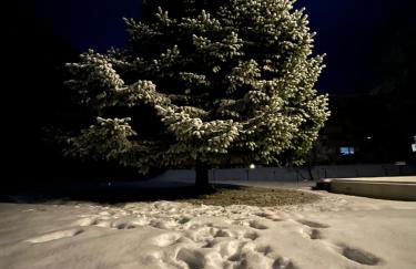 Apartment Wohlfühl-Oase mit Pool & Sauna, aktivCard inkl - Foto 67