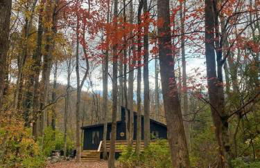 Black Bear Lodge - Fire Pit - Hot Tub - Foto 43