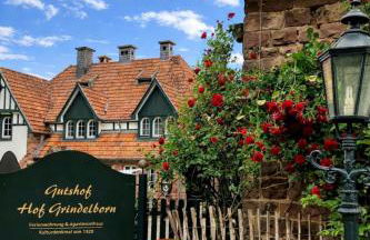 Wildblick Appartment Hof Grindelborn - Foto 33