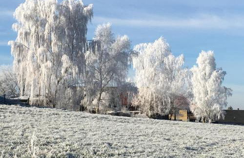 Haus Angermann - Foto 65