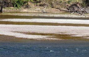 River Ridge Inn - Foto 28