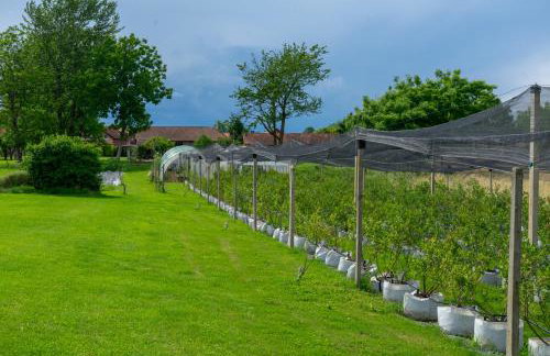 Kuća za odmor Marof - Foto 19