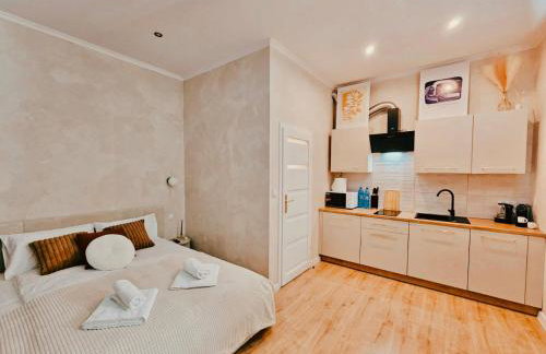 Apartamenty Paryskie Old Town View - Foto 20