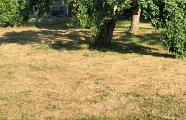 Ferienimspessart EG - Foto 28