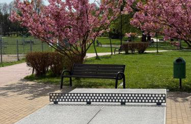 Apartament Skórcz Kociewie Pomorze Gdańskie Agroturystyka - Foto 42