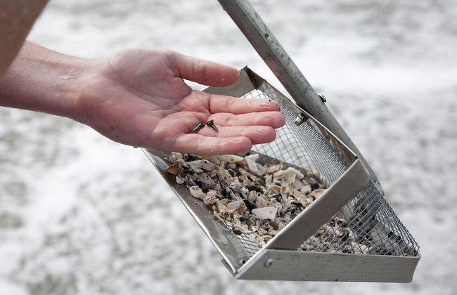 Tropical Villas of Venice Beach - Foto 80