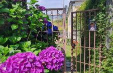 Apartamentos Rurales El Bosque de las Viñas - Photo 53