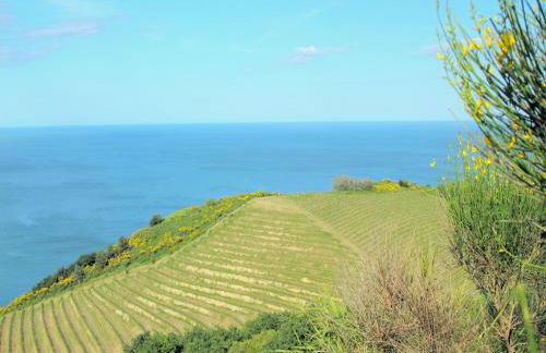 Beautiful Stay in Tavullia - Foto 78