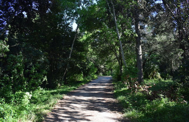 Garitsa bay Apartment - Foto 18