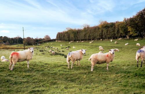 Bay Bungalow - Photo 18